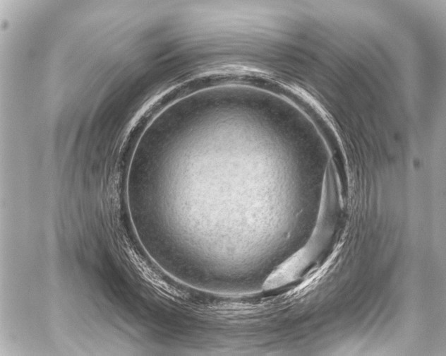 X0000059060783200510101047