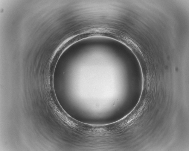 X0000059060784200510101047