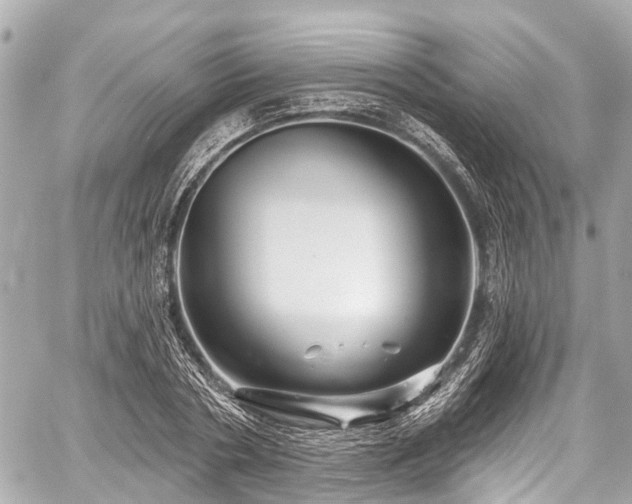 X0000059060786200510101047