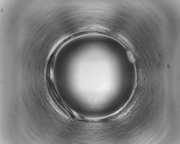 X0000059060788200510101047