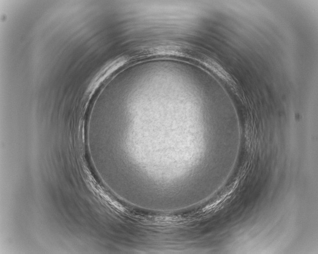 X0000059060790200510101047