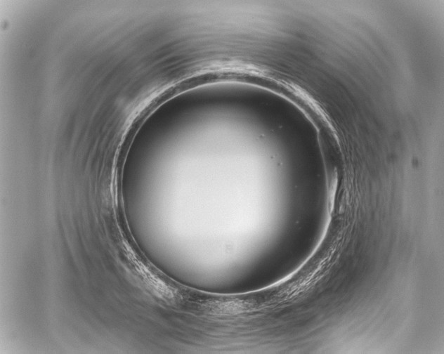 X0000059060791200510101047