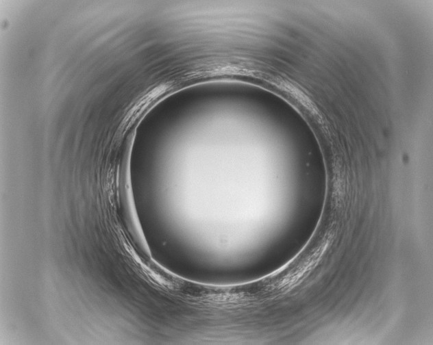 X0000059060793200510101047