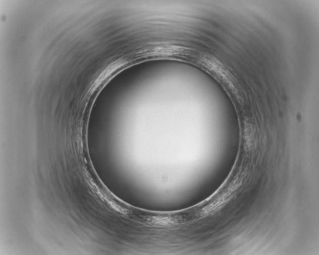 X0000059060794200510101047