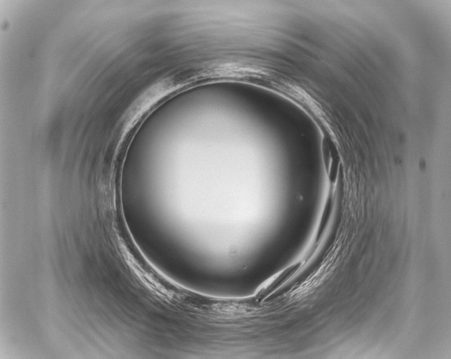 X0000059060795200510101047