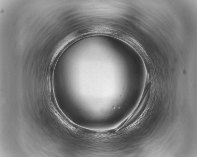 X0000059060796200510101047