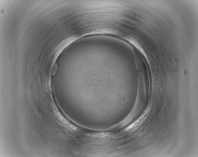 X0000059060797200510101047