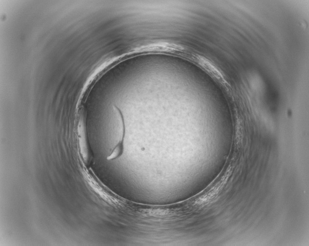 X0000059060800200510101047