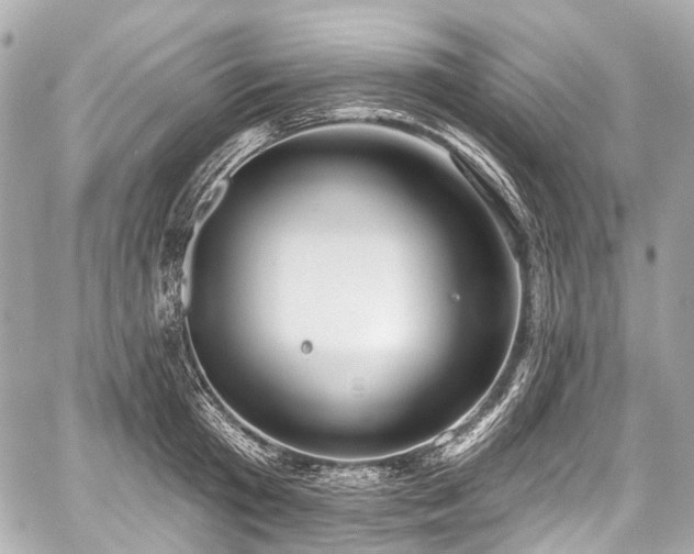 X0000059060801200510101047