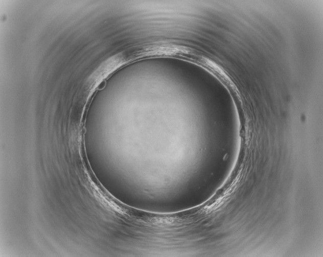 X0000059060802200510101047