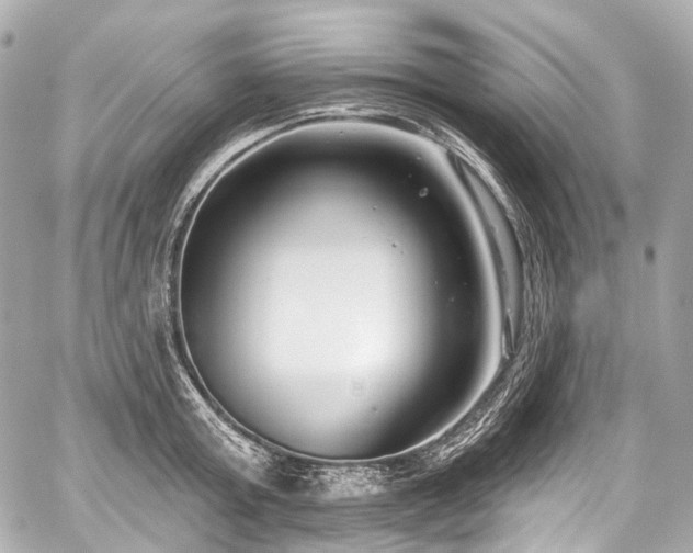 X0000059060803200510101047