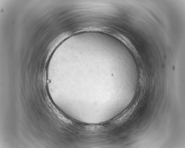 X0000059060804200510101047