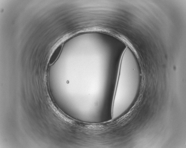 X0000059060805200510101047