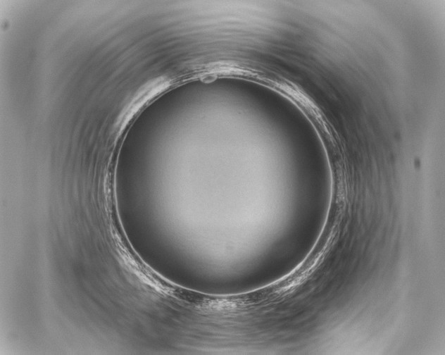 X0000059060806200510101047