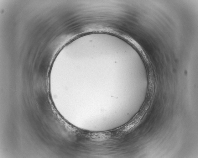 X0000059060807200510101047