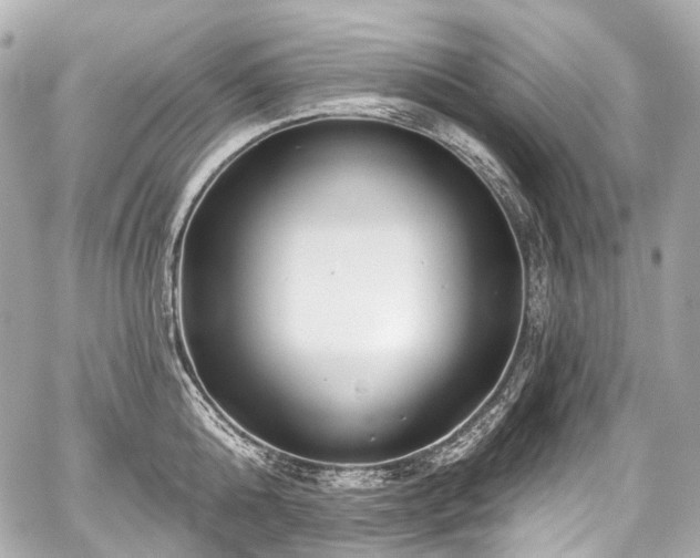 X0000059060808200510101047