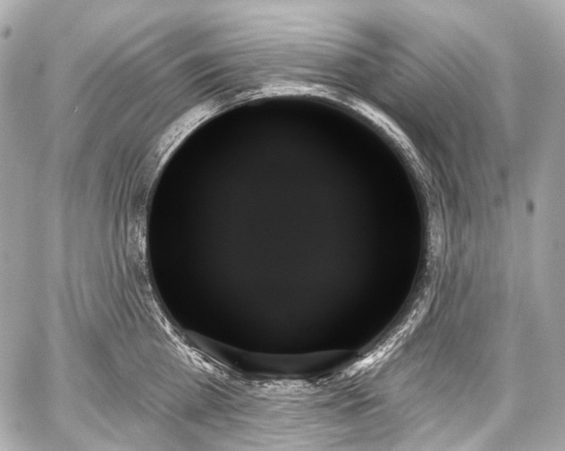 X0000059060809200510101047