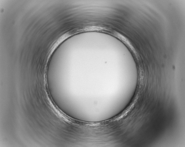 X0000059060810200510101047