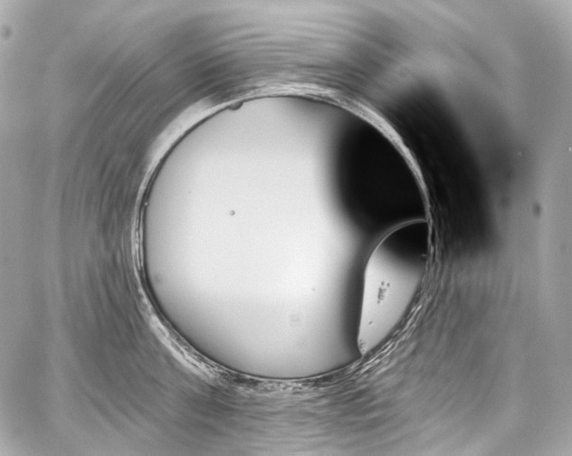 X0000059060811200510101047