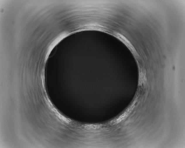 X0000059060812200510101047