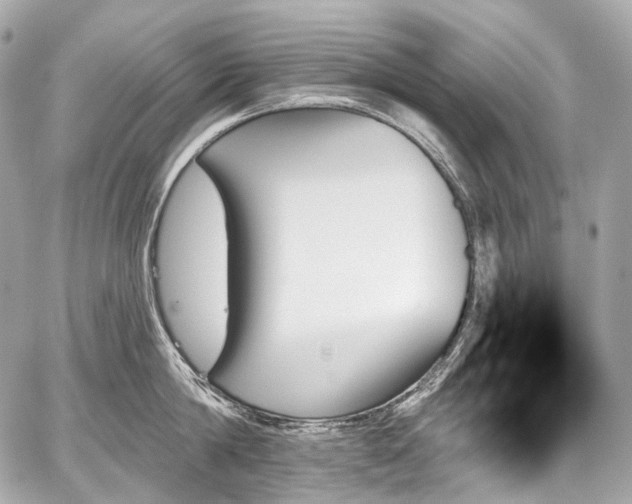 X0000059060814200510101047