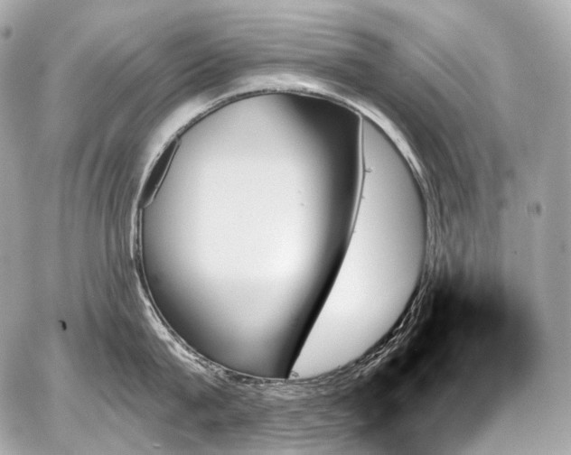 X0000059060815200510101047