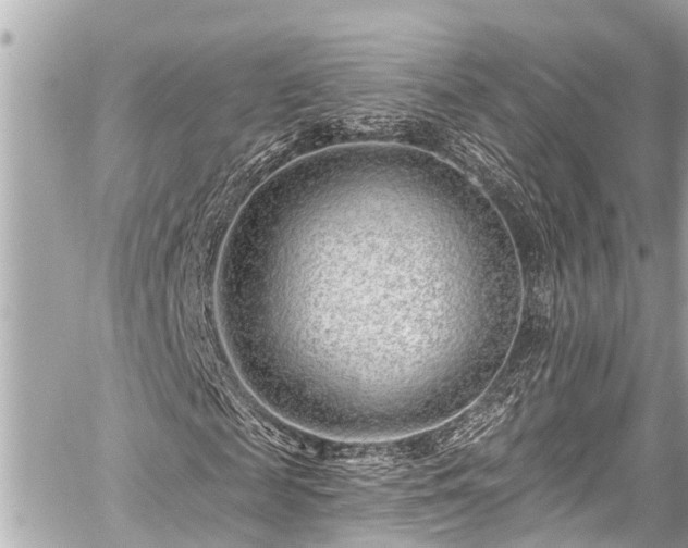 X0000059060817200510101046