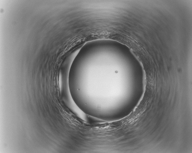 X0000059060818200510101046