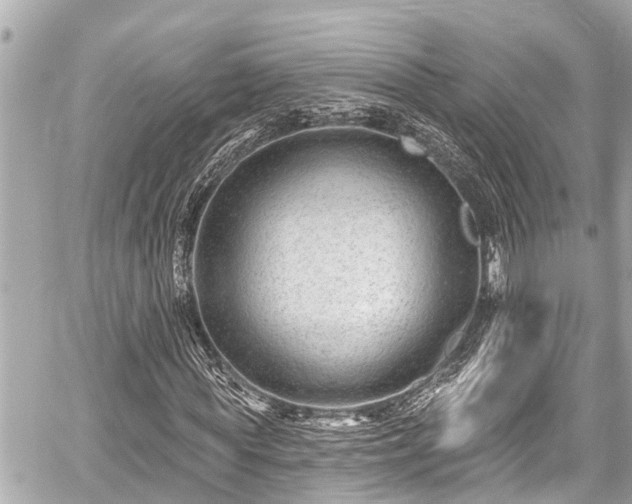 X0000059060819200510101046