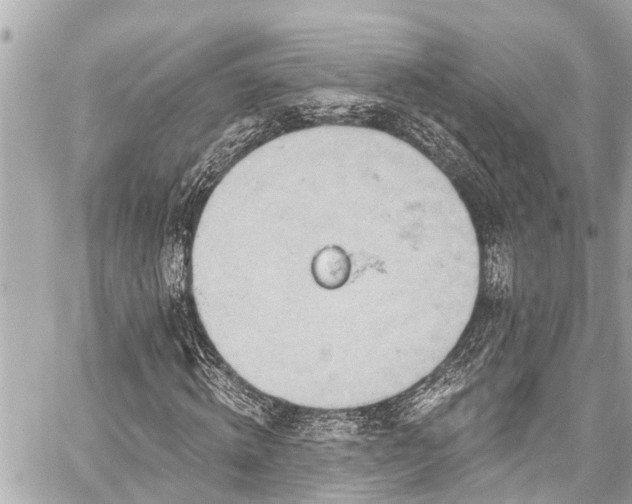 X0000059060820200510101046