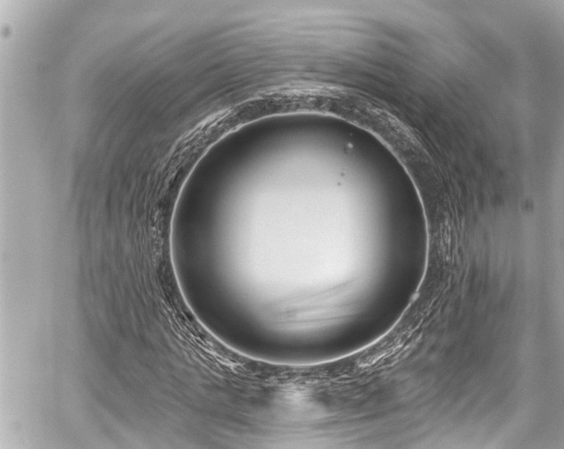 X0000059060821200510101046