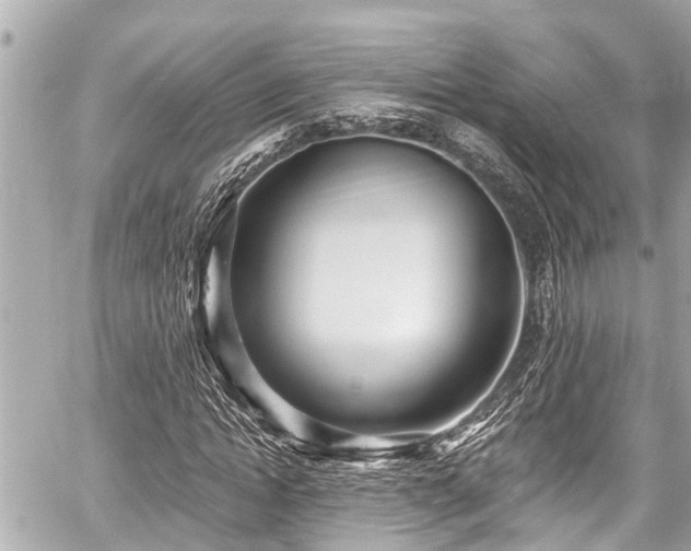 X0000059060822200510101046