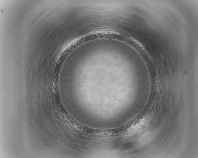 X0000059060823200510101046