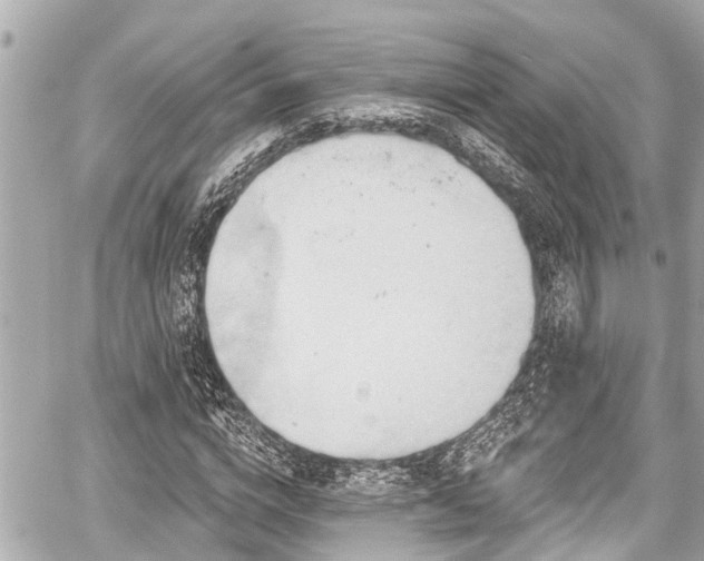 X0000059060824200510101046