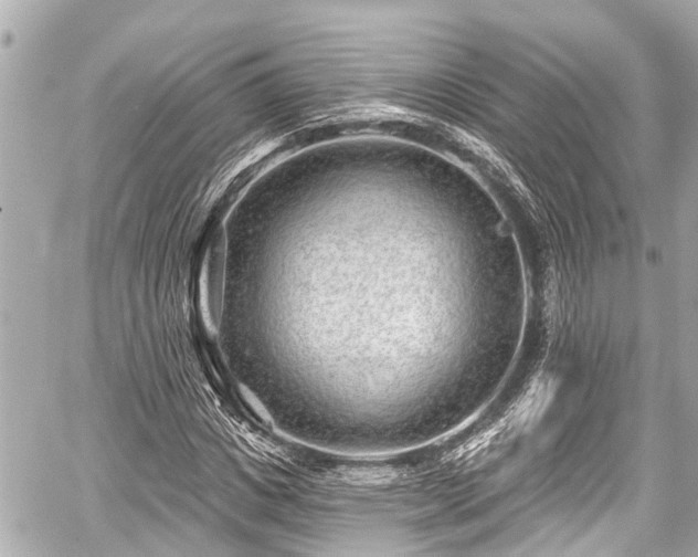 X0000059060825200510101046