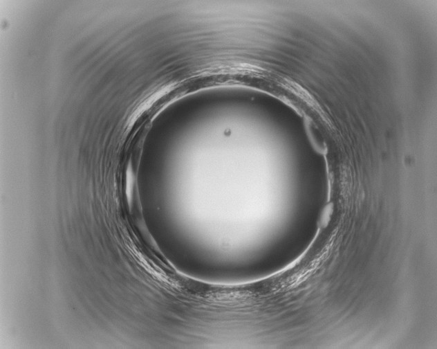 X0000059060826200510101046