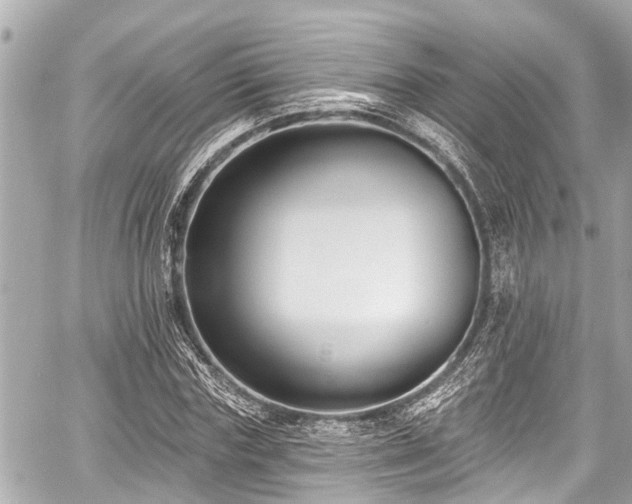 X0000059060827200510101046