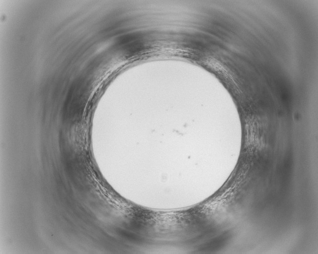 X0000059060828200510101046