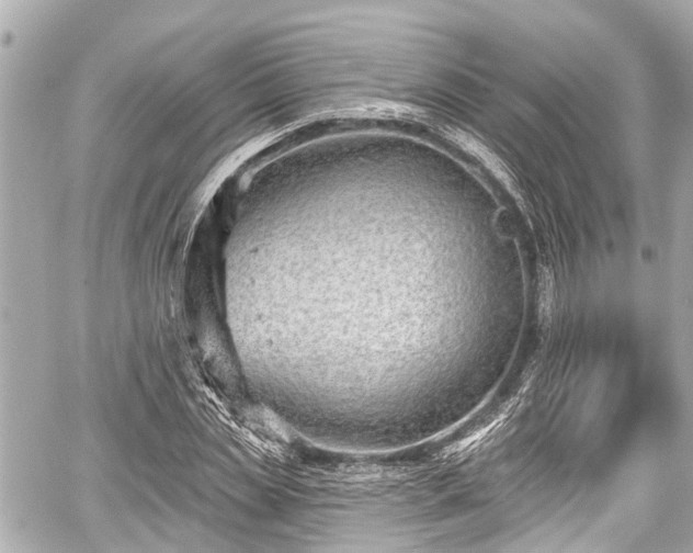 X0000059060829200510101046