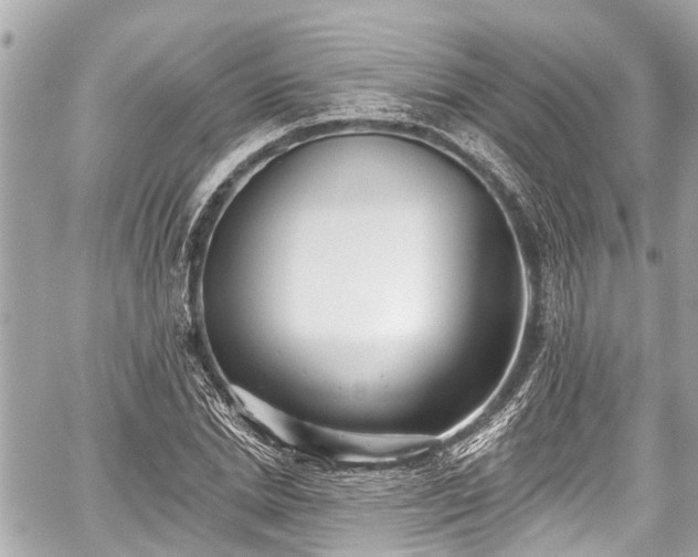 X0000059060830200510101046