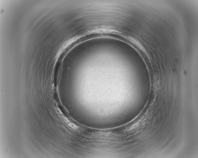 X0000059060831200510101046