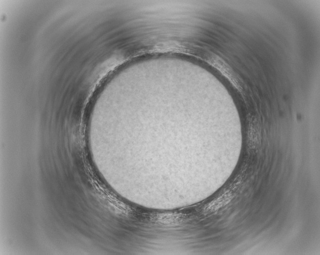 X0000059060832200510101046