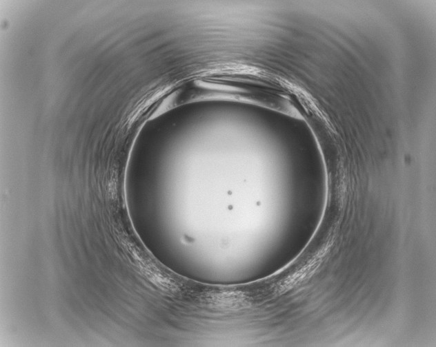 X0000059060833200510101046