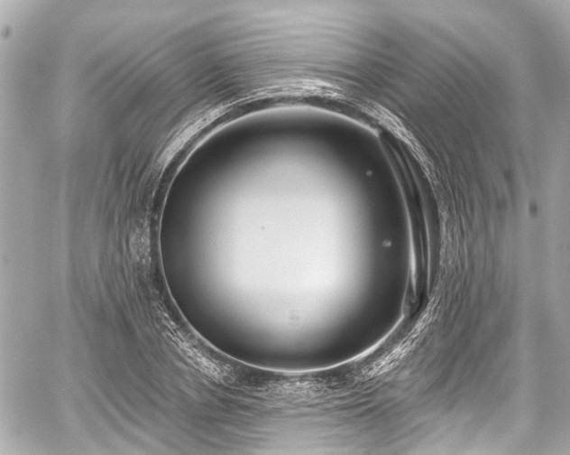 X0000059060834200510101046