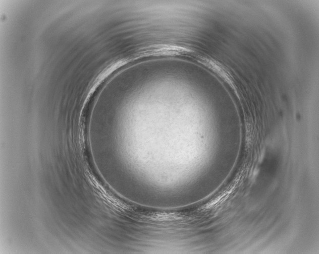 X0000059060835200510101046