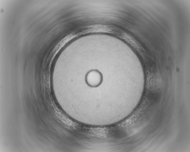 X0000059060836200510101046