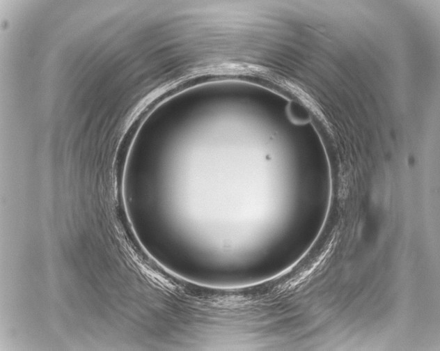 X0000059060837200510101046