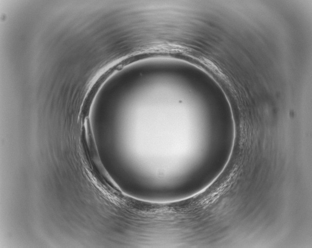 X0000059060838200510101046