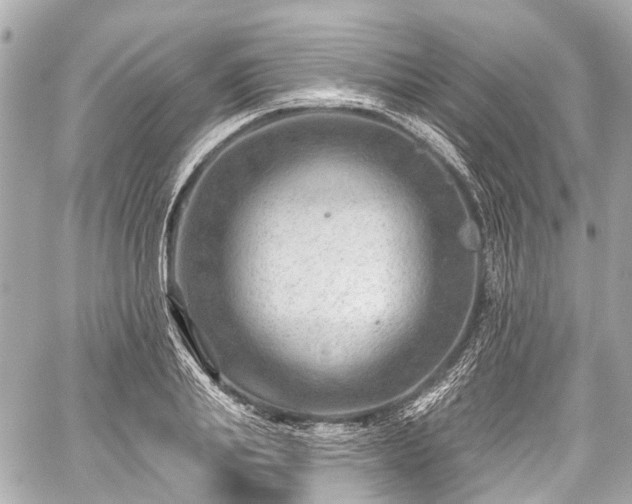 X0000059060839200510101046