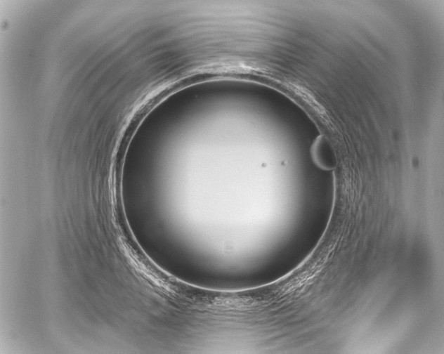 X0000059060840200510101046